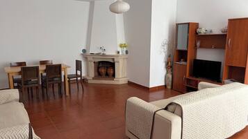 TV, fireplace, DVD player, books