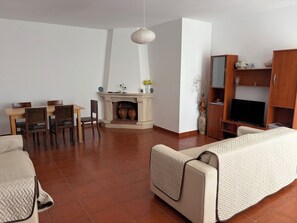 TV, fireplace, DVD player, books