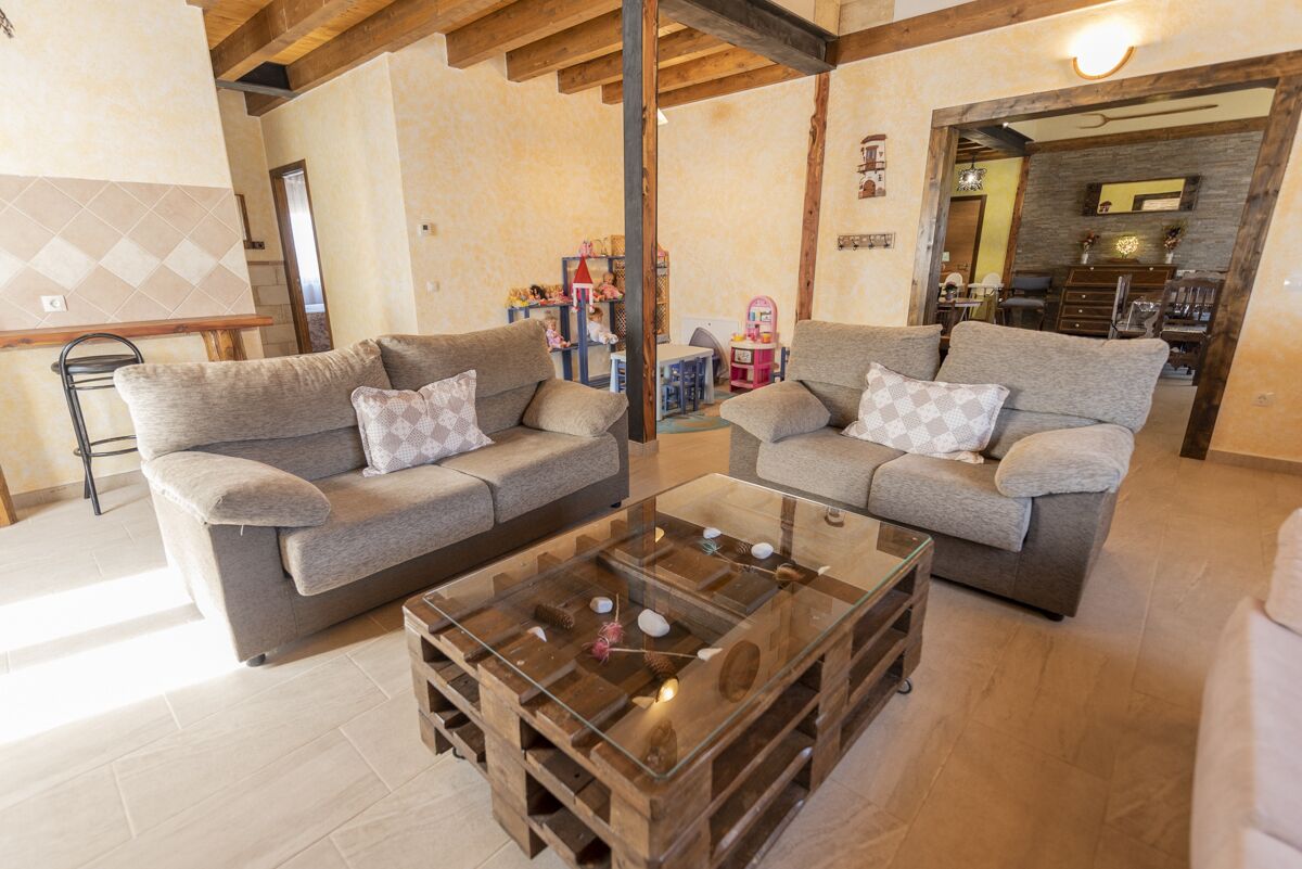 TV, fireplace, books