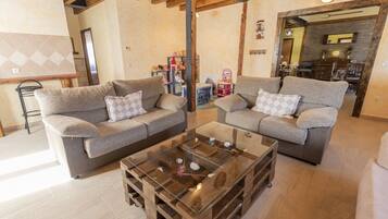 TV, fireplace, books