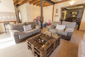 TV, fireplace, books