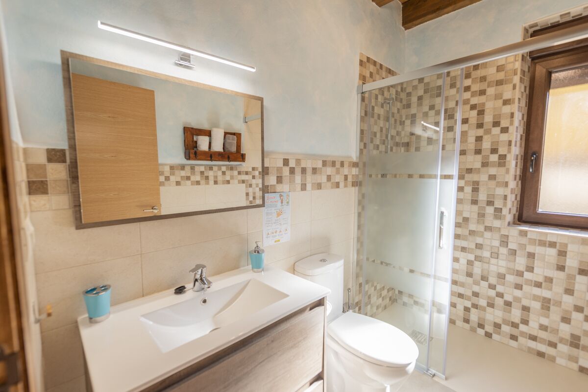 A bathroom with a sink, mirror, toilet, and shower.