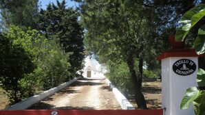A gated entrance with a sign reading "Trullo di Giovanna." - Large trullo/ villa, with private 10x4 m pool, in olive grove 2km from town (Ceglie Messapica)