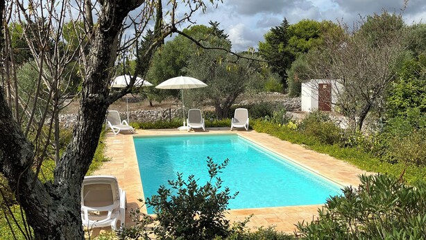 A rectangular swimming pool with a tiled edge, surrounded by a garden with various plants and trees. There are three white lounge chairs and a white umbrella near the pool. - Large trullo/ villa, with private 10x4 m pool, in olive grove 2km from town (Ceglie Messapica)