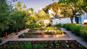 A garden with raised beds, trees, and a white building with a blue door. - Charming Trullo Amarcord with Private Pool, Spa & Park near Alberobello (Selva di Fasano)