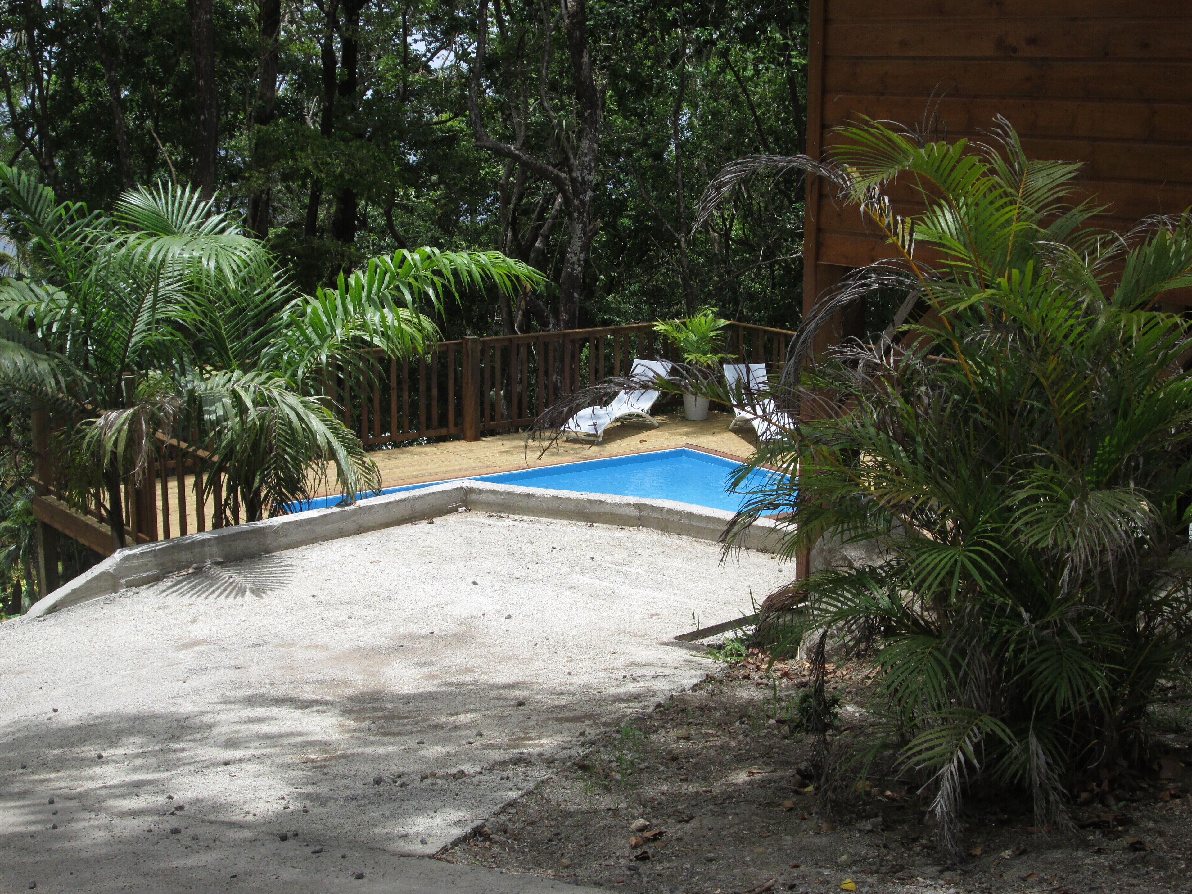 Un espace piscine doté d’une terrasse en bois, entouré d’une végétation luxuriante et d’arbres.