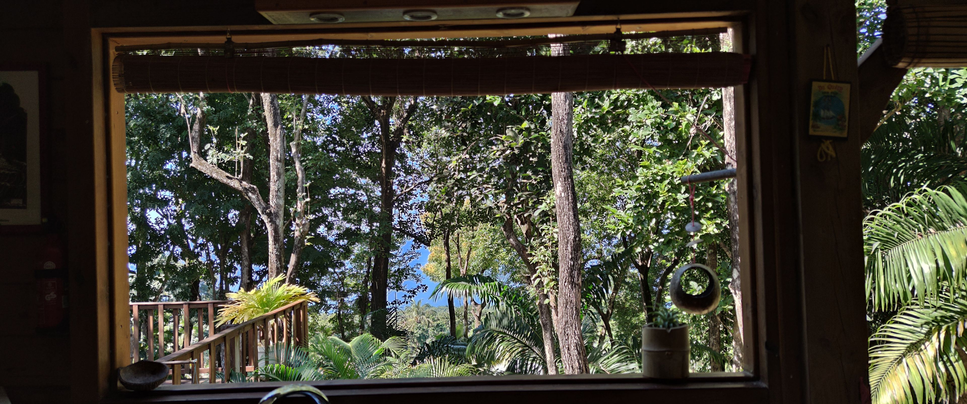 Una ventana con vistas a un jardín exuberante, baranda de madera y una pequeña planta en maceta.