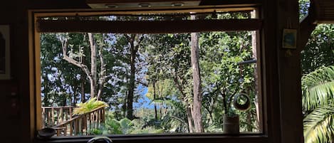 Una ventana con vistas a un jardín exuberante, baranda de madera y una pequeña planta en maceta.