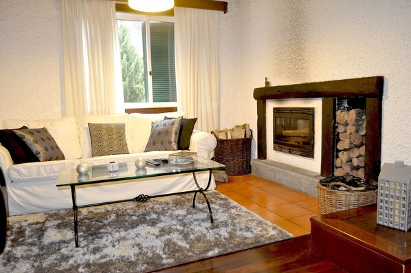 TV, fireplace, books