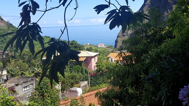A coastal view with a house surrounded by lush greenery and a clear blue sky.