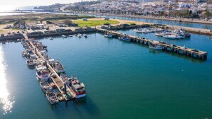 Uma marina com barcos atracados em cais, céu claro e horizonte urbano ao longe.