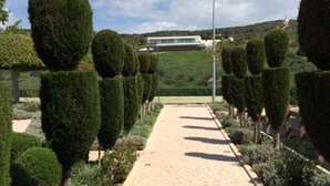 A paved pathway lined with neatly trimmed topiary trees, leading towards a modern building with a flat roof.