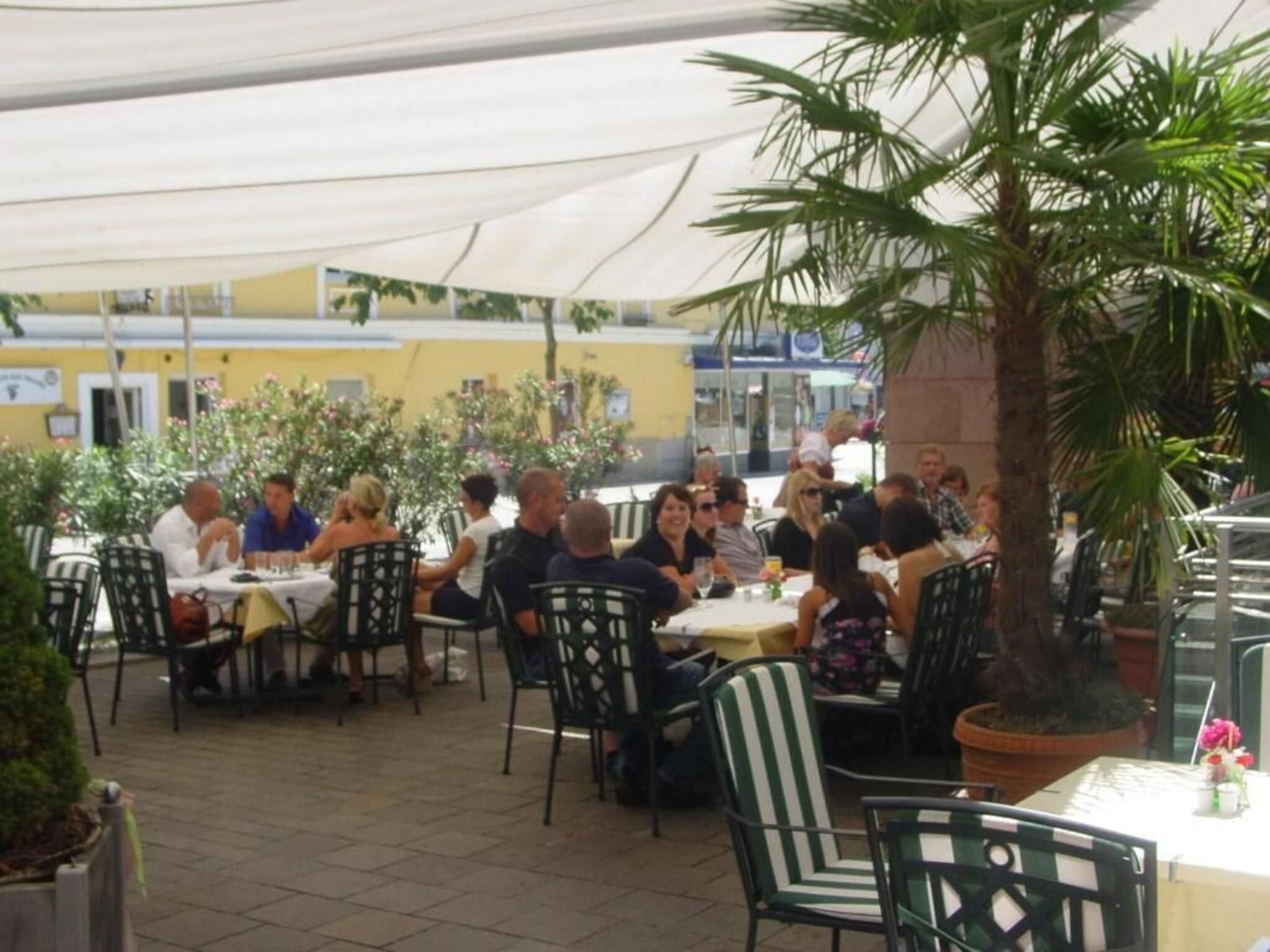 An outdoor dining area with tables and chairs, surrounded by potted plants and a palm tree.