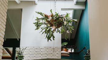 A hanging plant with light fixtures in a modern interior space with white brick walls and a teal accent wall.