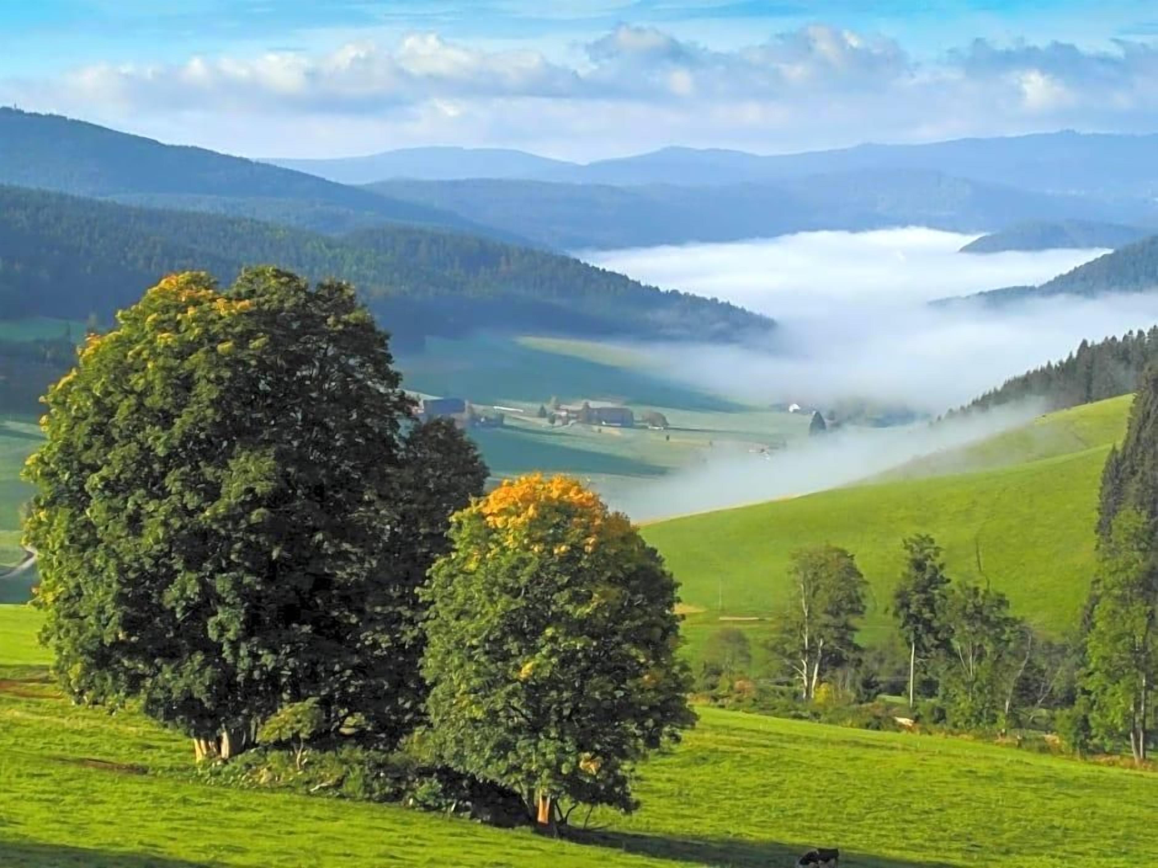 A landscape with rolling hills, a large tree, and a distant view of a valley.