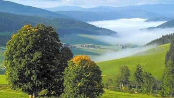A landscape with rolling hills, a large tree, and a distant view of a valley.