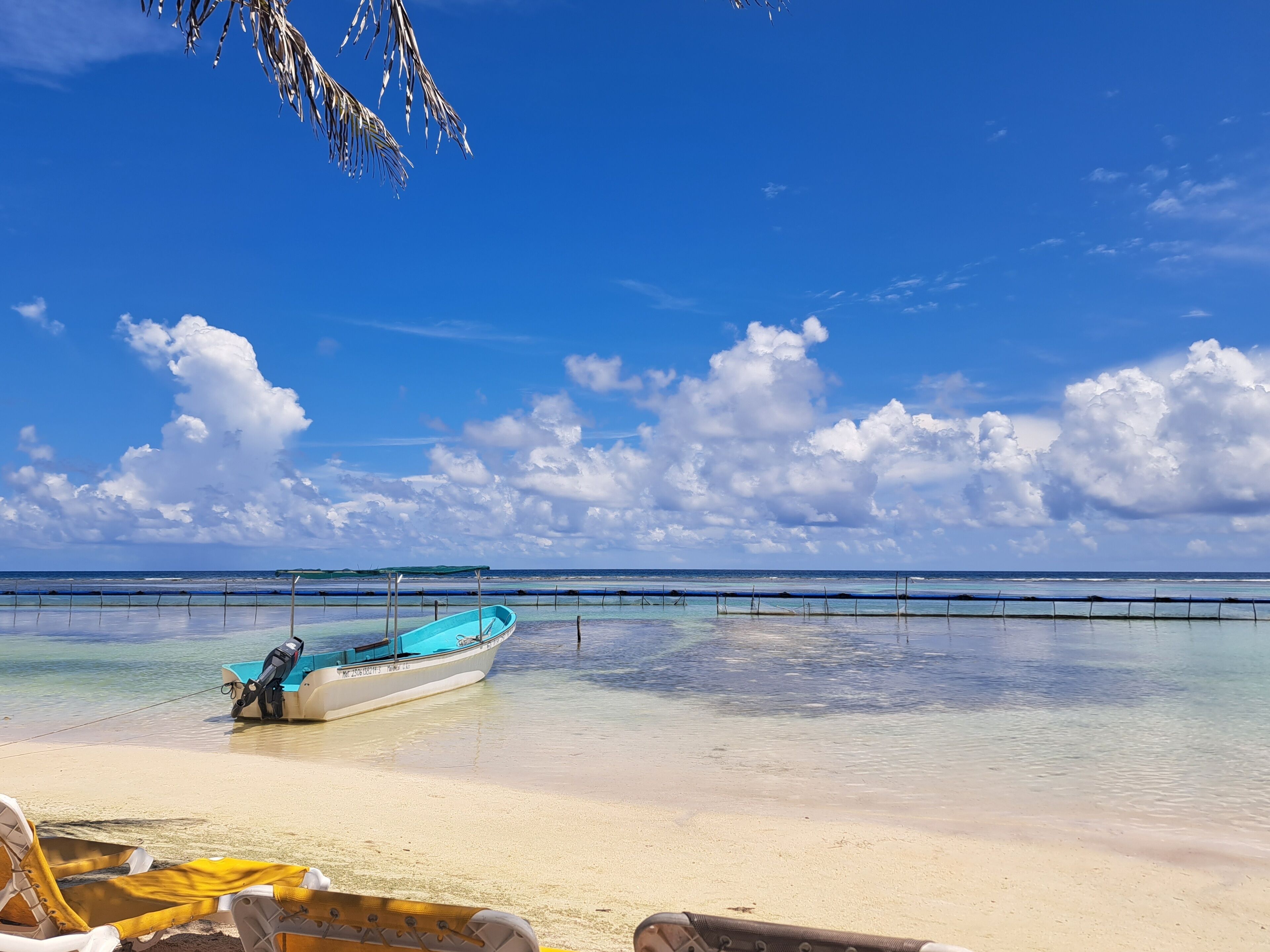 Playa en los alrededores, snorkel y pesca 