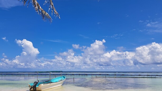 Beach nearby, snorkeling, fishing - Mahasand Suites, Hostel & Hotel (Mahahual)
