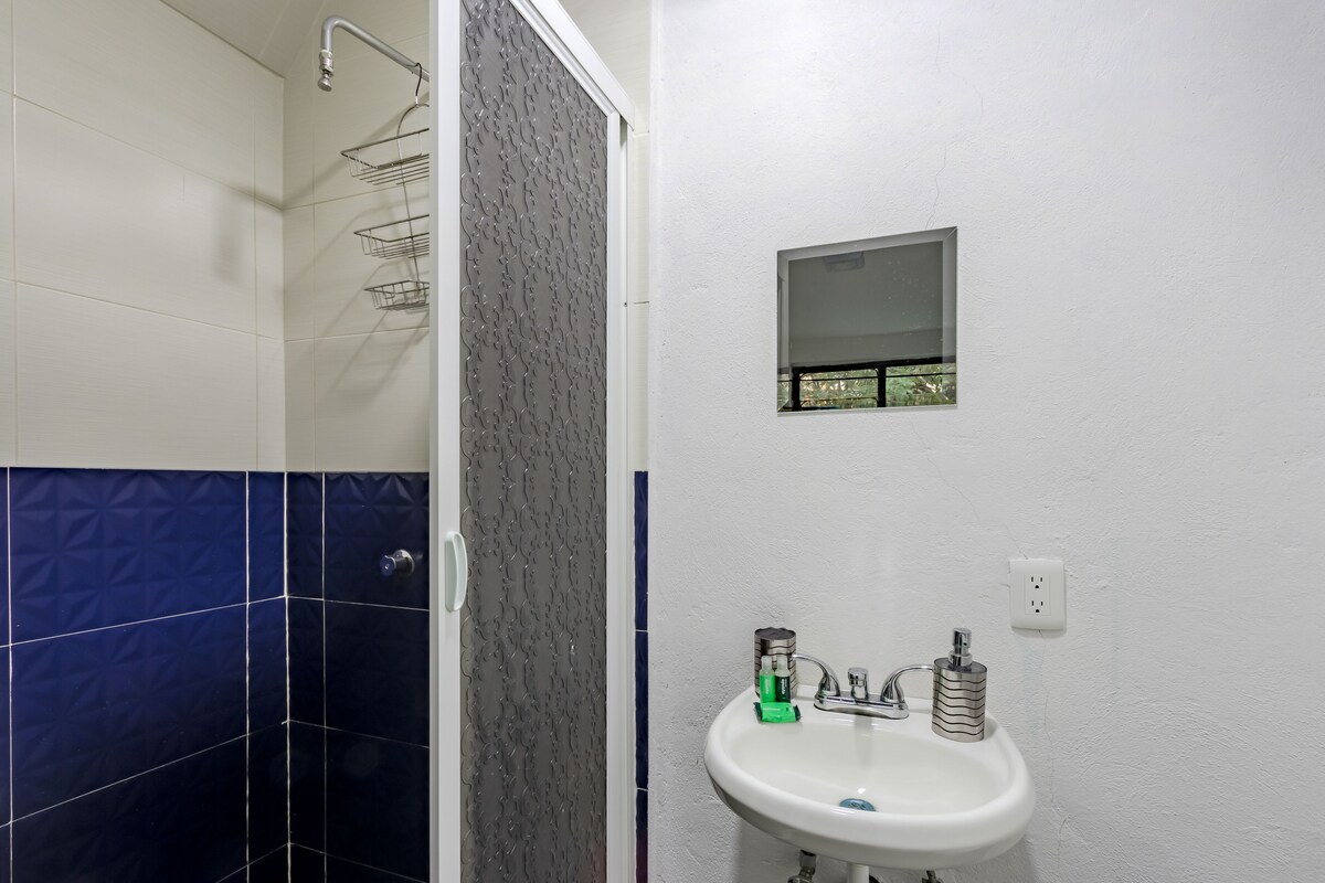 A bathroom with a shower, a sink, and a small window.
