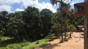 Un patio con sendero de ladrillo, palmeras y un pérgola.