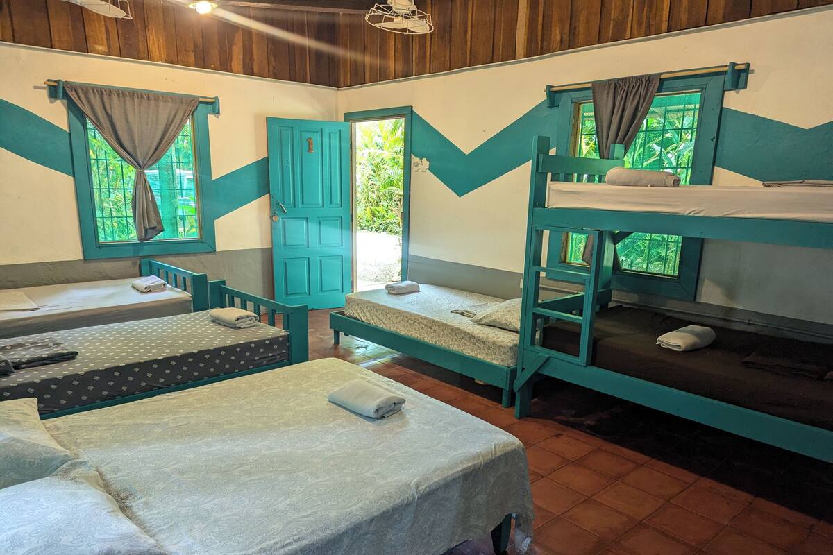 A dormitory room with bunk beds, a door, and windows with curtains.