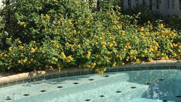Seasonal outdoor pool, open 8:00 AM to 10:00 PM, sun loungers
