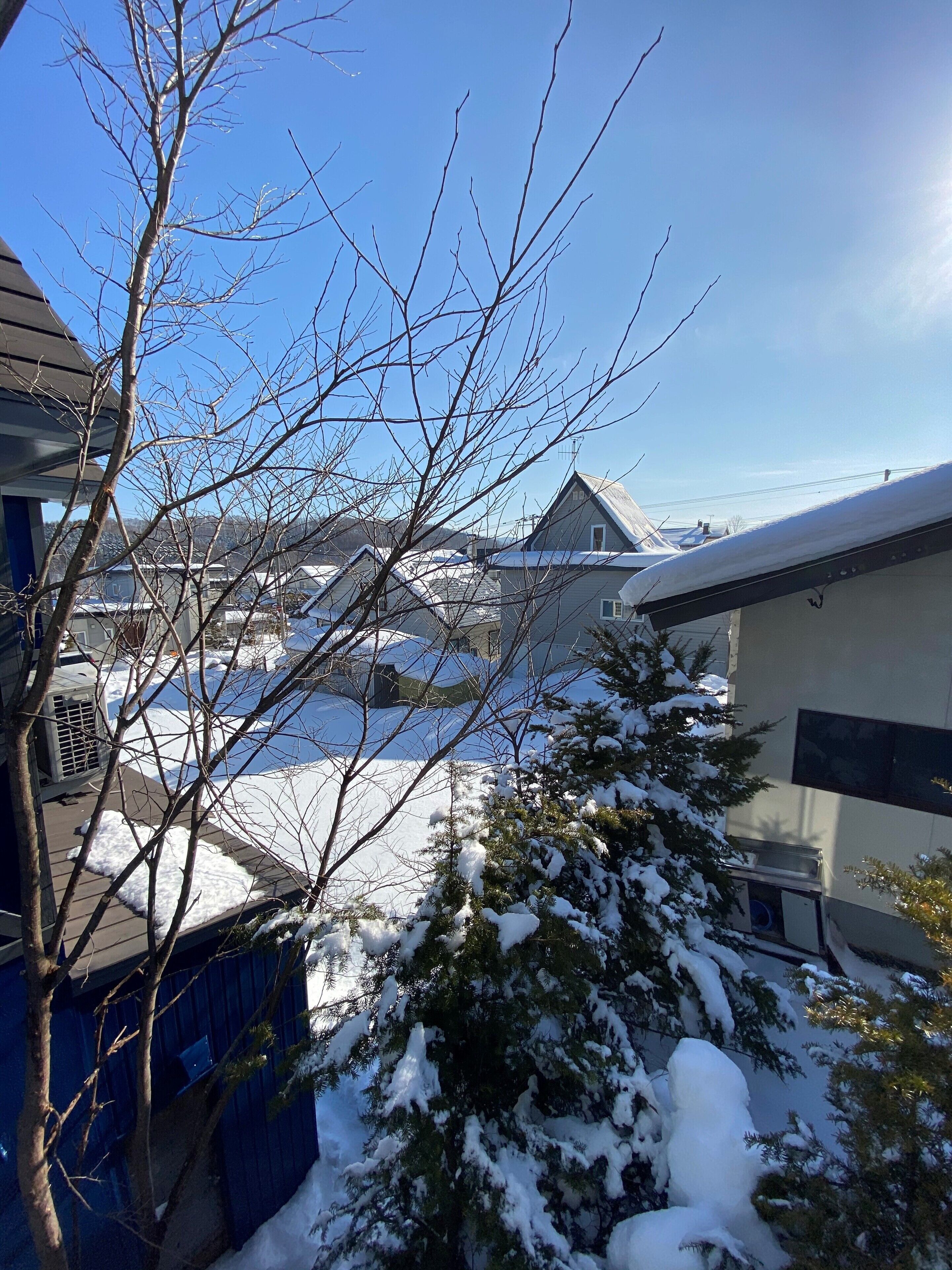 A residential area with houses, a snow-covered roof, and bare trees.