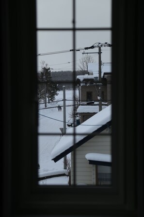 Western Style Single Room | View from room