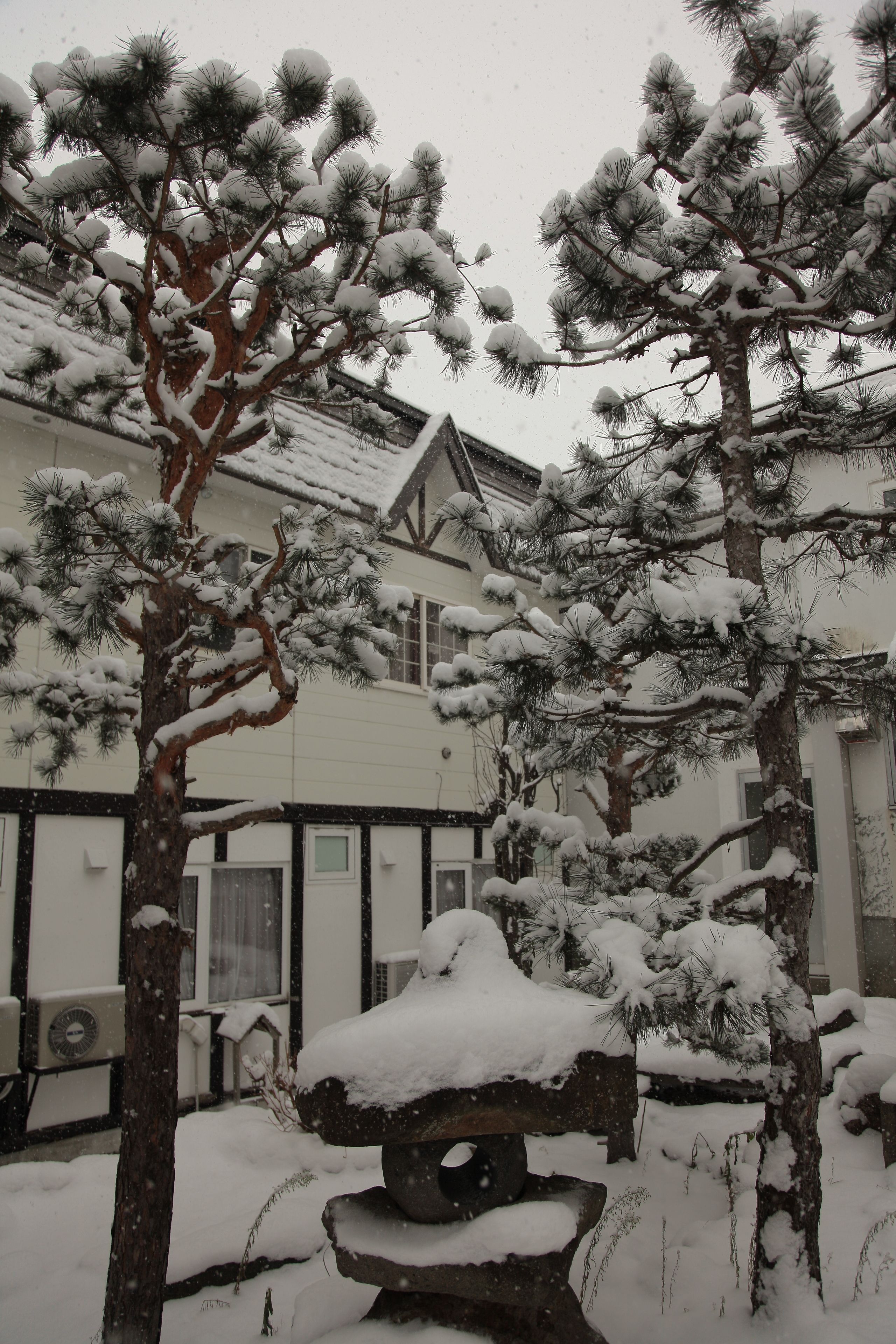 A snow-covered courtyard with pine trees and a stone bench.