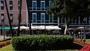 A hotel courtyard with a manicured lawn, red flowers, and outdoor seating areas. - HD Acuario Lifestyle (Las Palmas de Gran Canaria)
