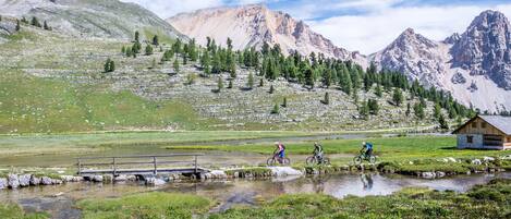 Paisaje montañoso con una pequeña cabaña de madera, un puente sobre un arroyo y ciclistas en un sendero.