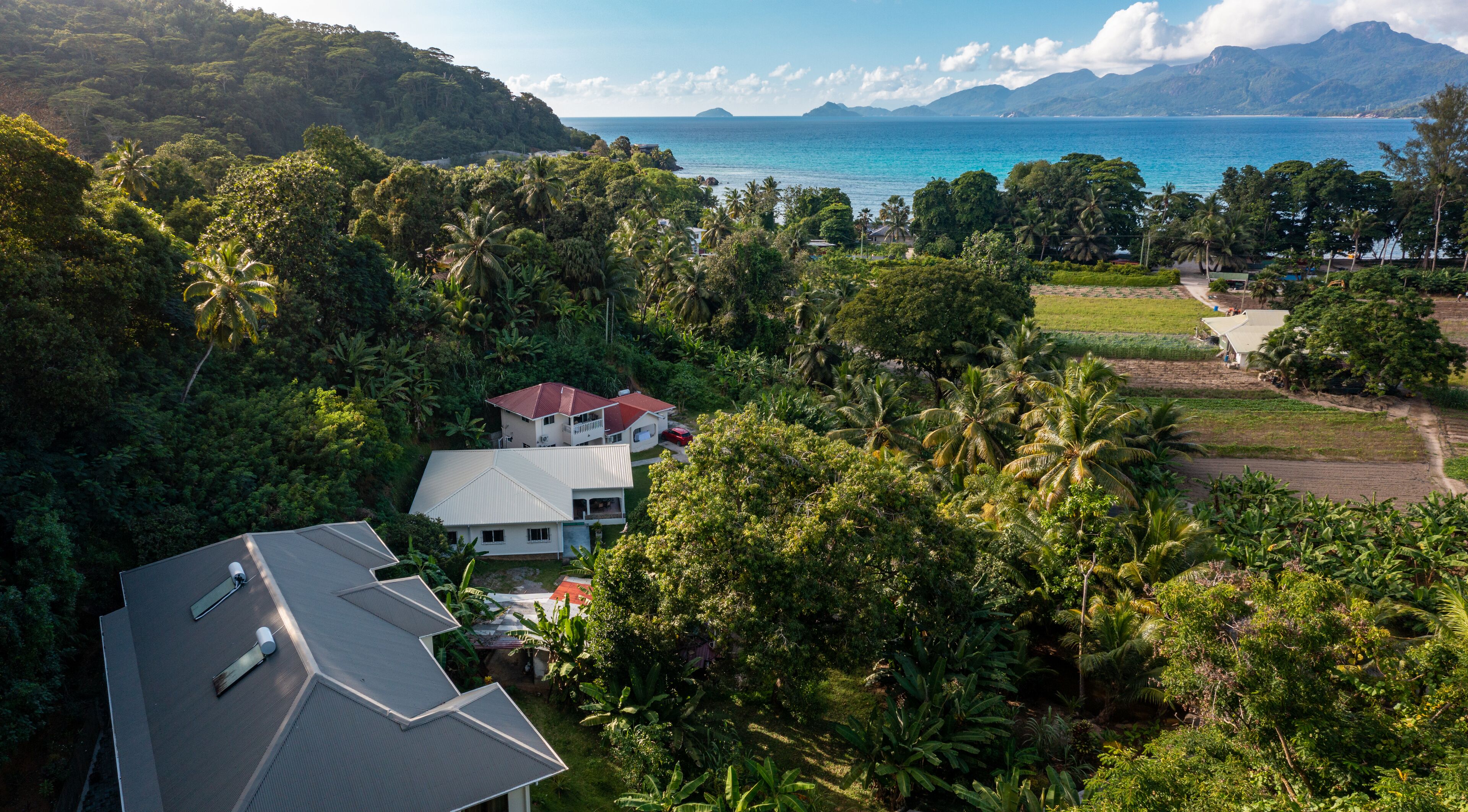 A house surrounded by dense tropical vegetation, with a view of the ocean and mountains in the background.