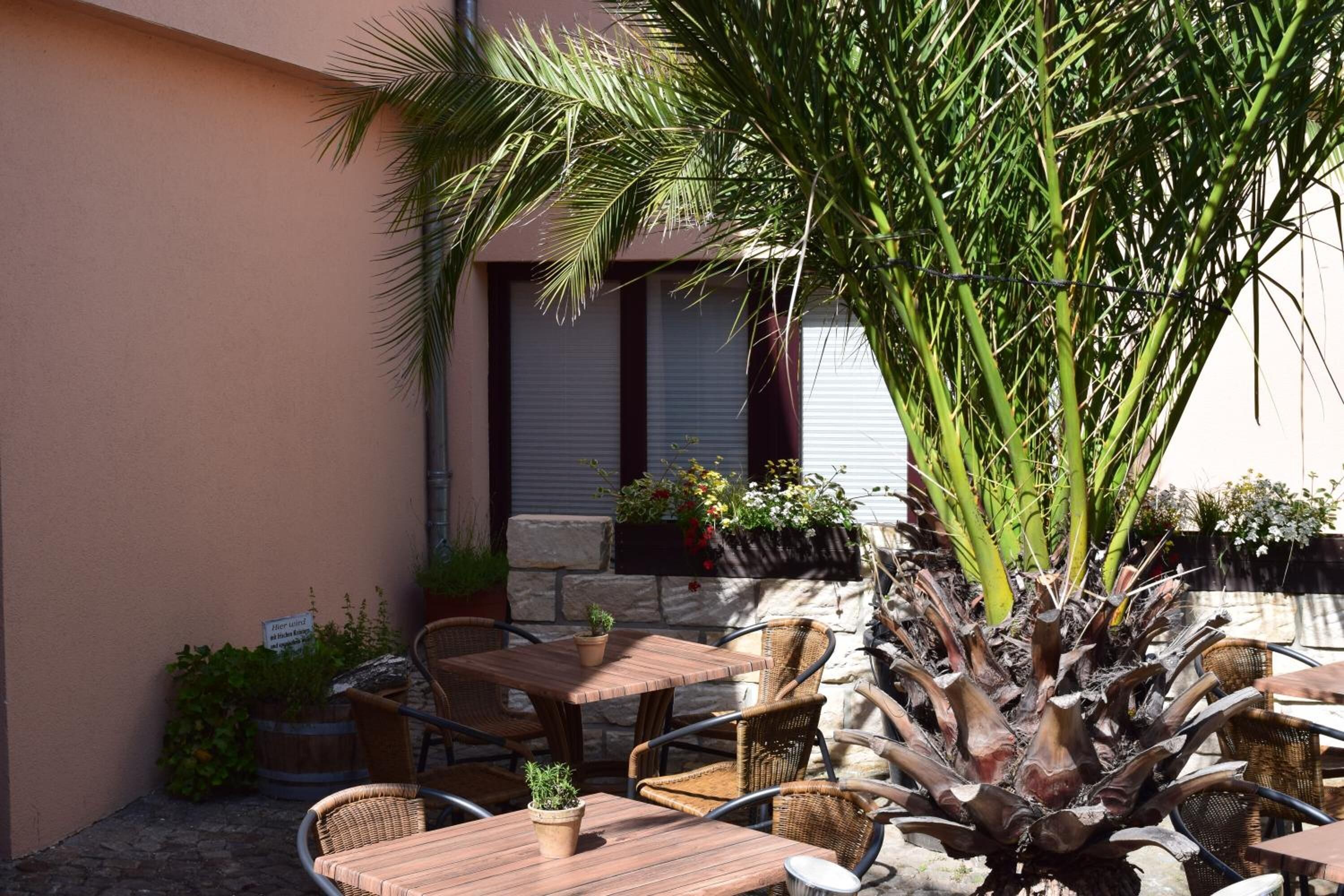 En udendørs terrasse med træborde og fletstole, omgivet af krukker med planter og et stort træ.
