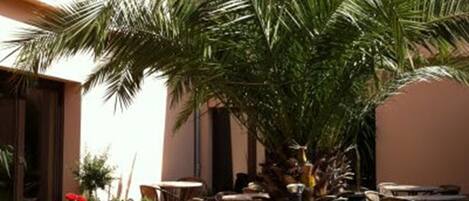 テラス / パティオ