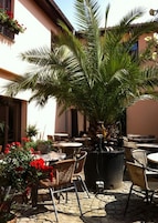 An outdoor seating area with wicker chairs and tables, surrounded by potted plants and a palm tree.