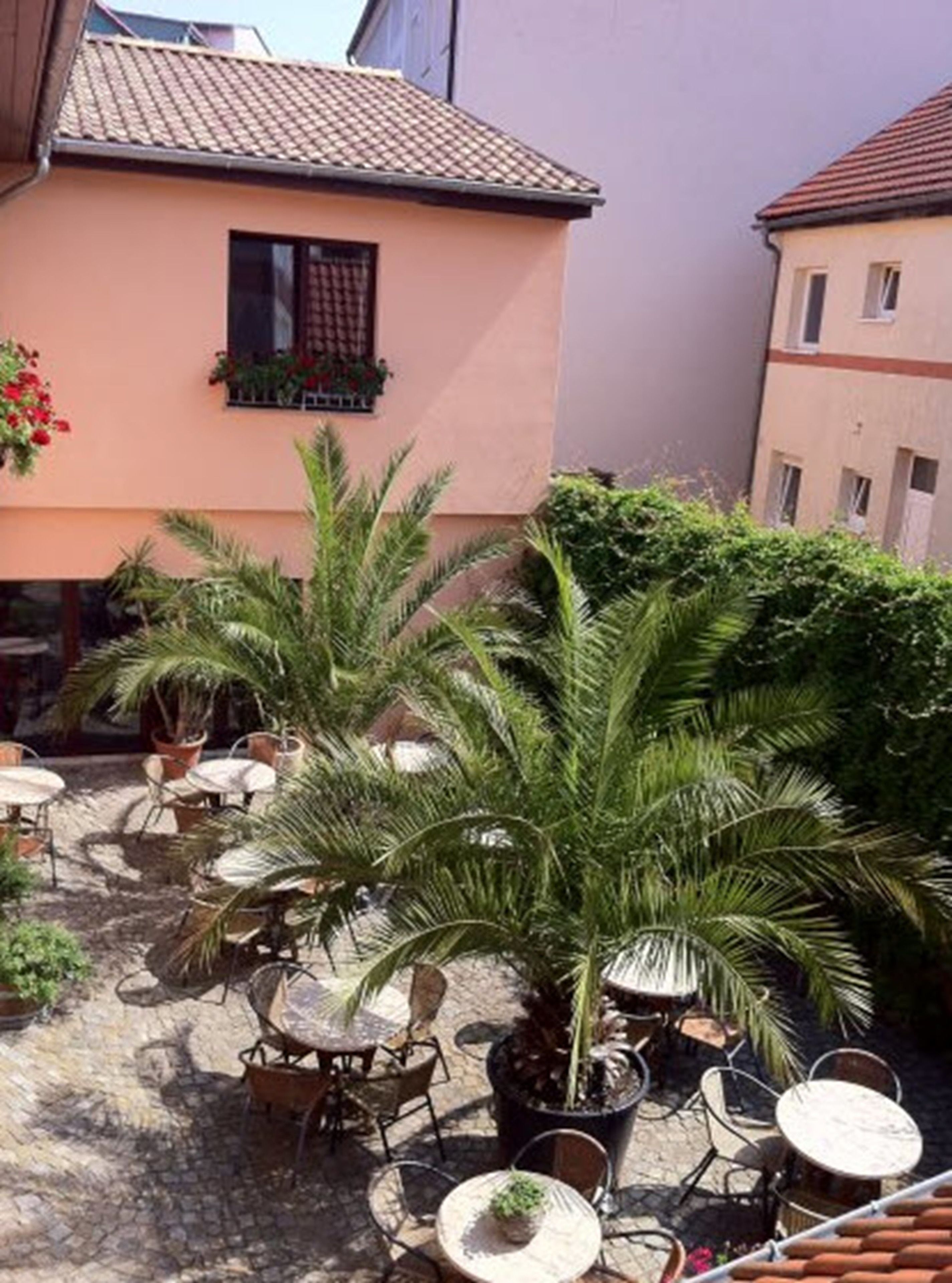 A courtyard with palm trees, outdoor seating, and a building with a tiled roof.