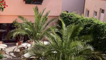 A courtyard with palm trees, outdoor seating, and a building with a tiled roof.