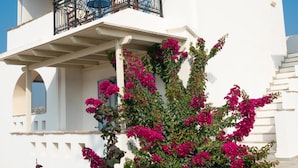 Ein weißes Gebäude mit Balkon, umrankt von leuchtend blühender Bougainvillea.