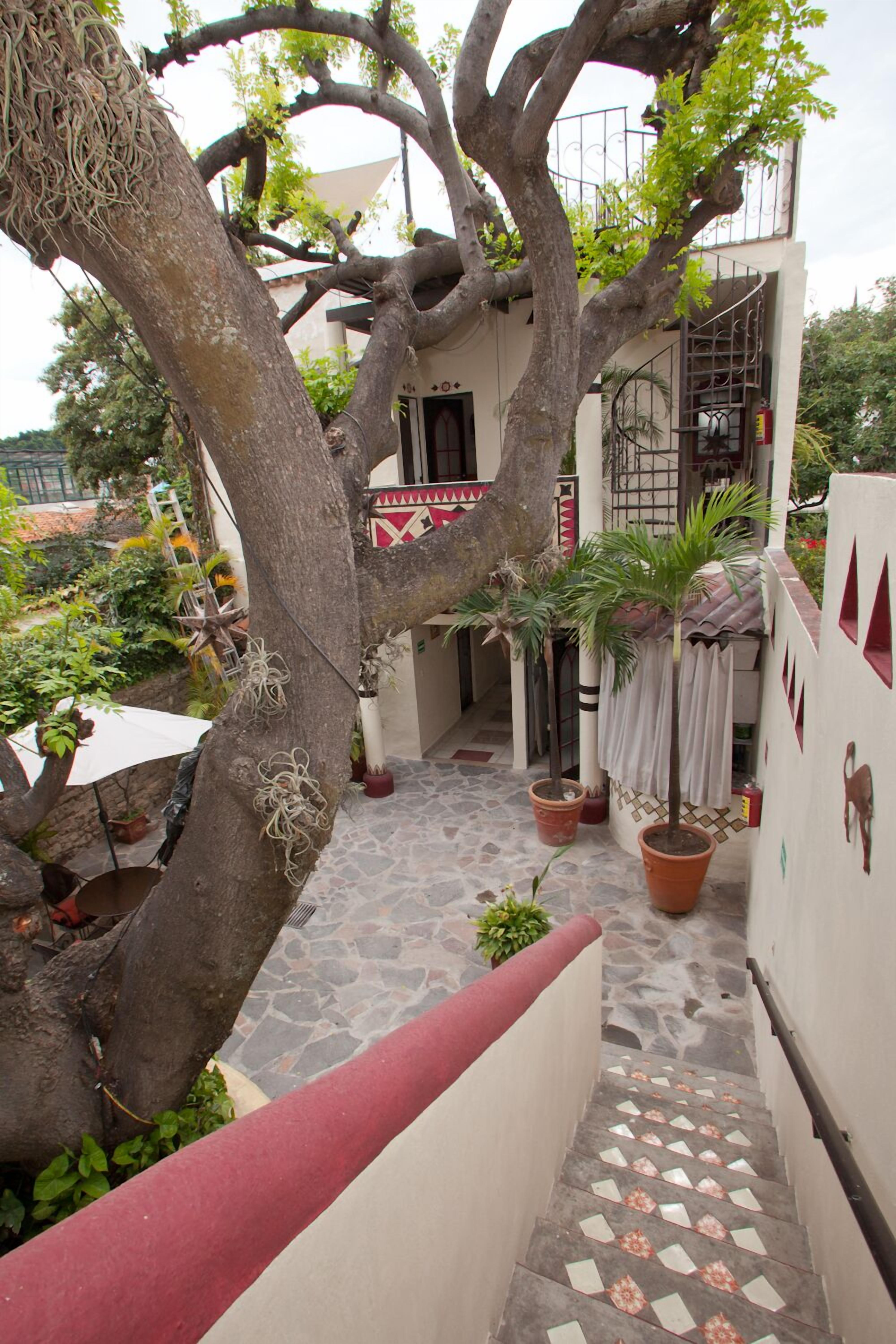 double room, 1 king bed, kitchenette | courtyard view