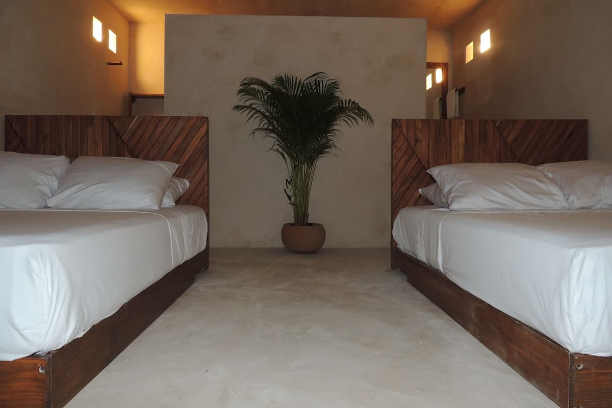 A hotel room with two beds, a potted plant, and a light-colored floor.