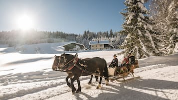Ein Schlitten, gezogen von Pferden, durch eine verschneite Landschaft. Im Hintergrund ist ein Haus zu sehen.