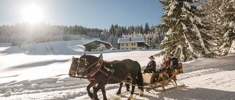 A horse-drawn sleigh on a snowy landscape with a house in the background.
