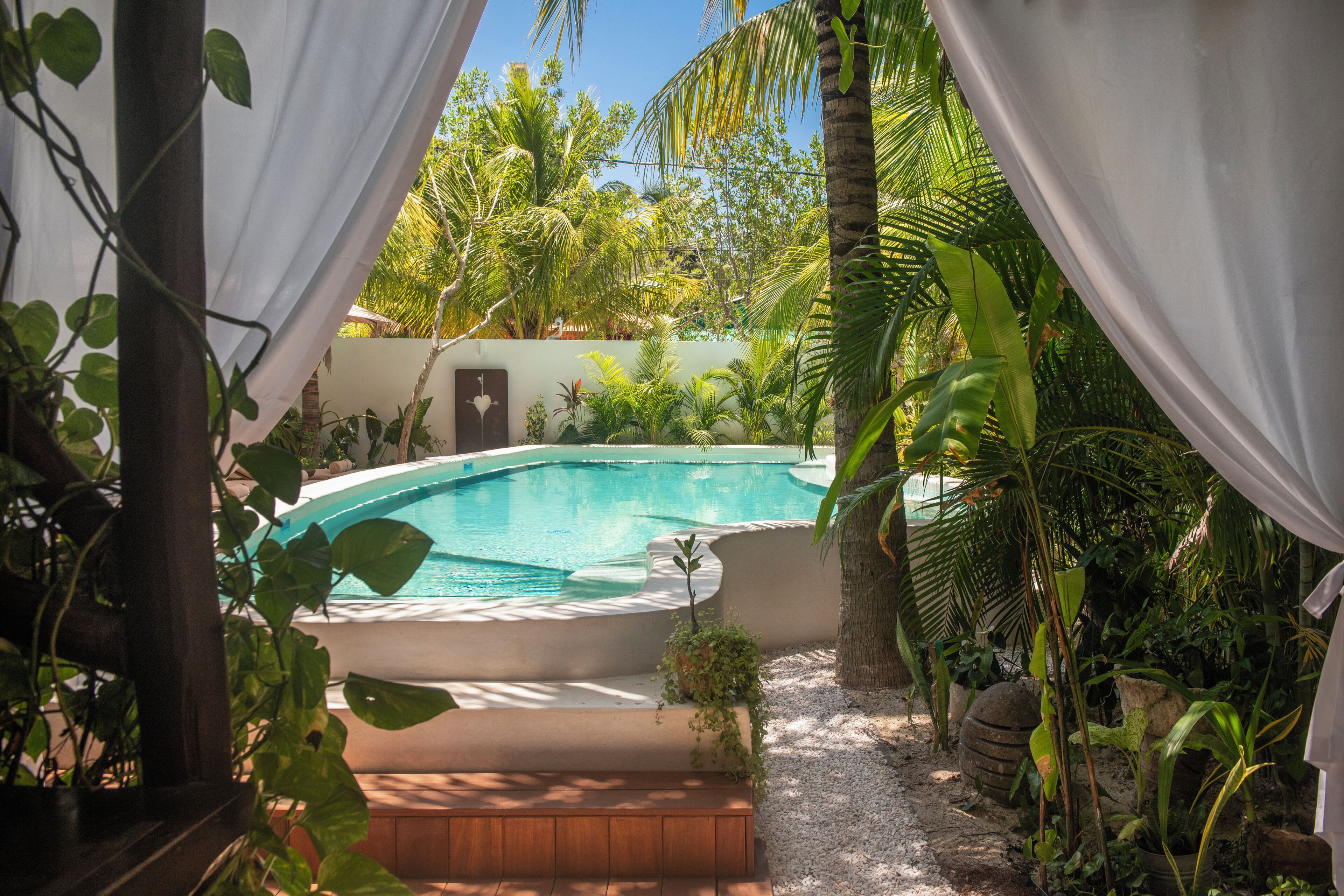 A pool surrounded by tropical plants and a white wall.