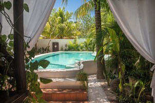A pool surrounded by tropical plants and a white wall.