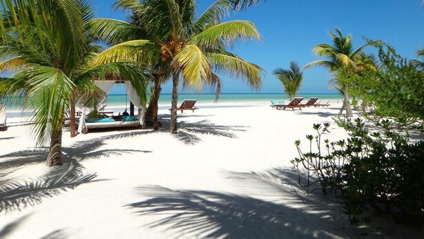 A beach with palm trees, lounge chairs, and a clear blue sky. - El Corazón Boutique Hotel - Adults Only with Pool & Beach Club Access (Isla Holbox)