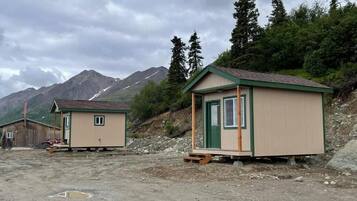 Basic Cabin