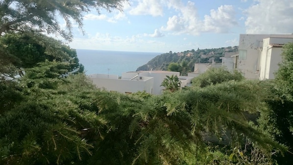 Jardim