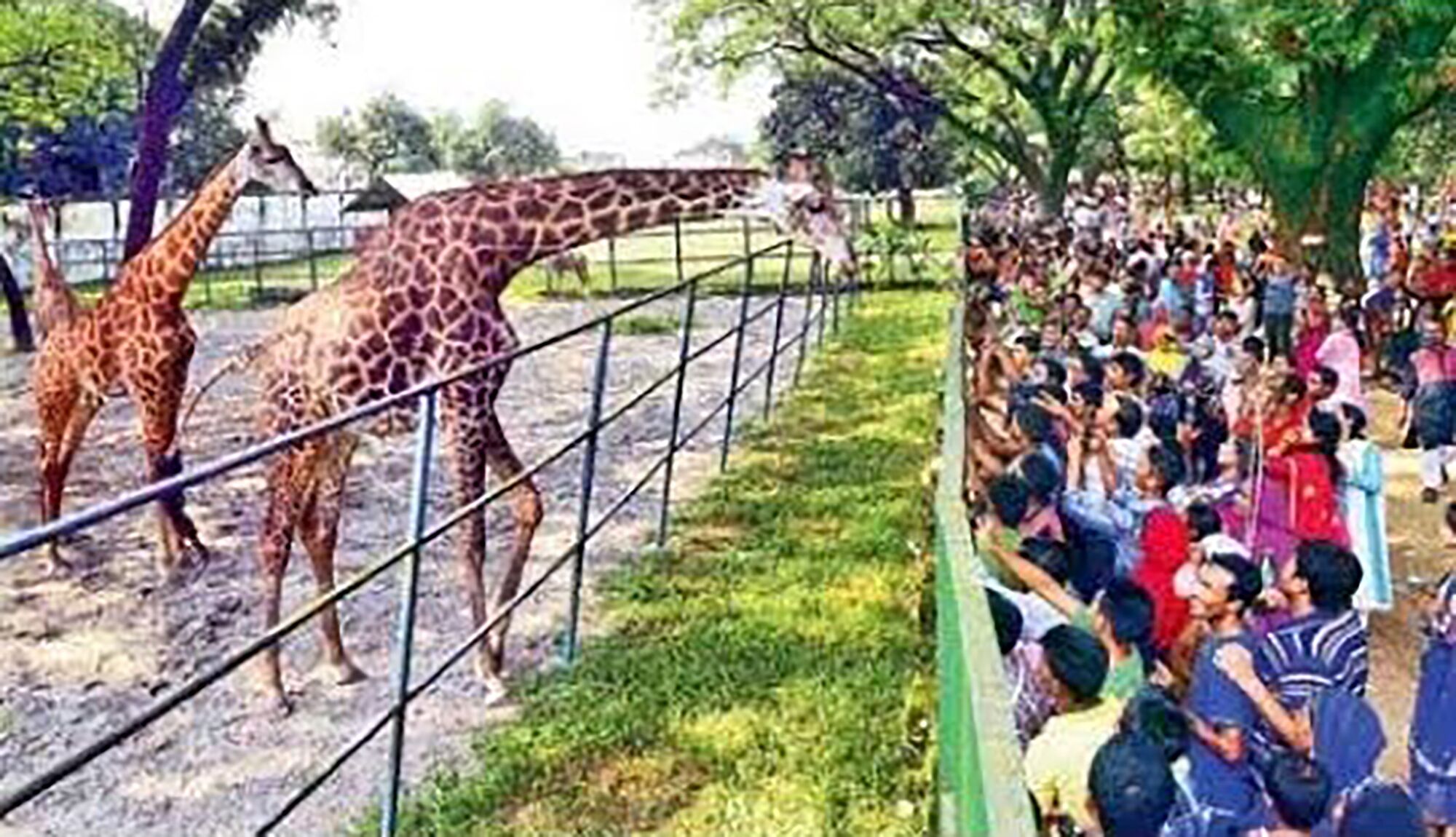 Photo - White Palace Hotel