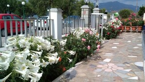 Property grounds - Diamanti Studios (Lesvos)