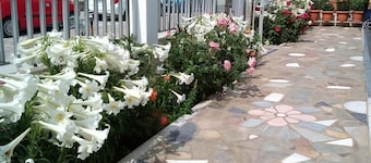 Diamanti Studios